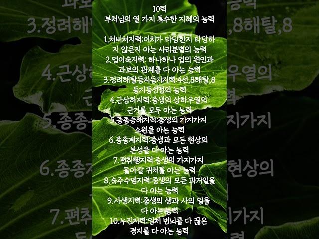 부처님의 10력