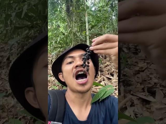 Bertahan hidup di hutan,dengan buah langka