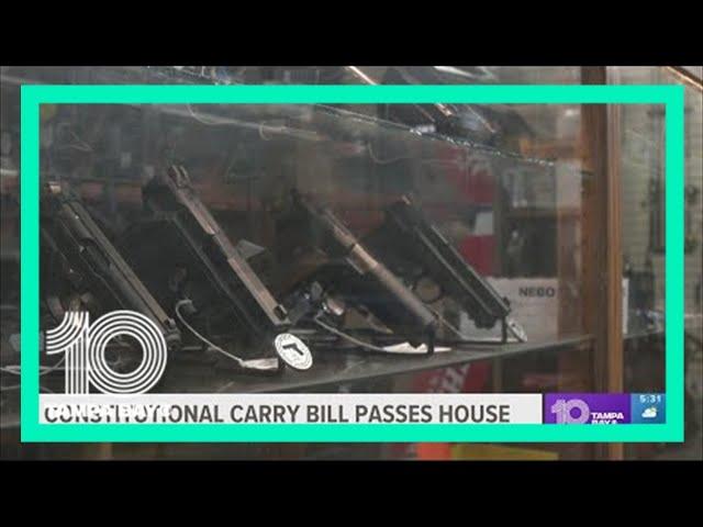 Constitutional carry bill passes the Florida House