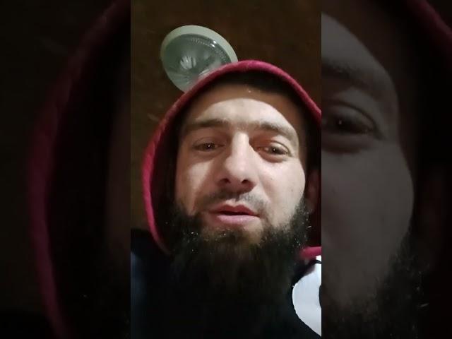 Проголодался пришол к бабульке, накормила напоила и ушел #horse