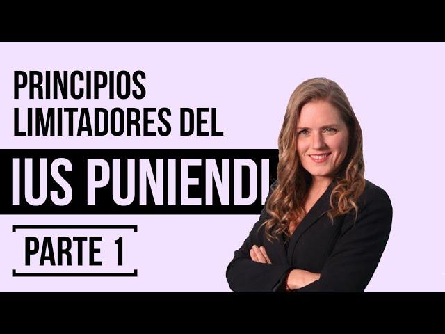 ¿QUÉ ES EL PRINCIPIO DE LEGALIDAD? o RESERVA en DERECHO PENAL NULLUM CRIMEN, NULLA POENA SINE LEGE.