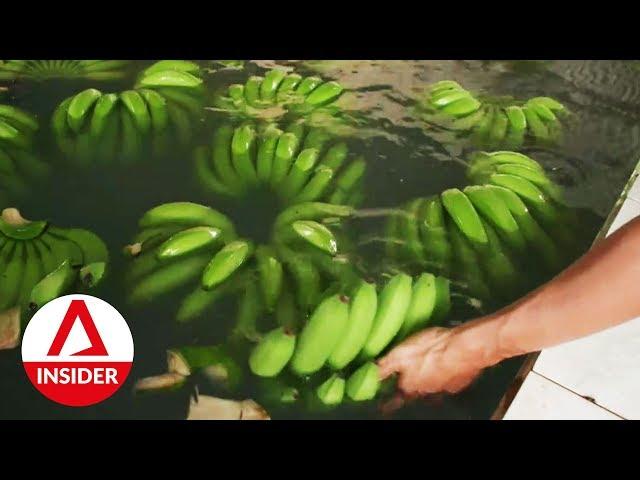 The Truth Behind "Perfect” Vs Ugly Bananas | For Food’s Sake! | CNA Insider