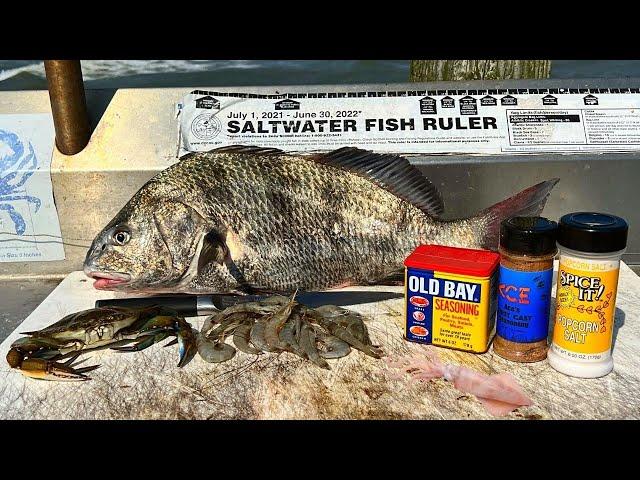 Saltwater Pier Catch n' Cook - Shrimp, Squid, Blue Crab and Fish!