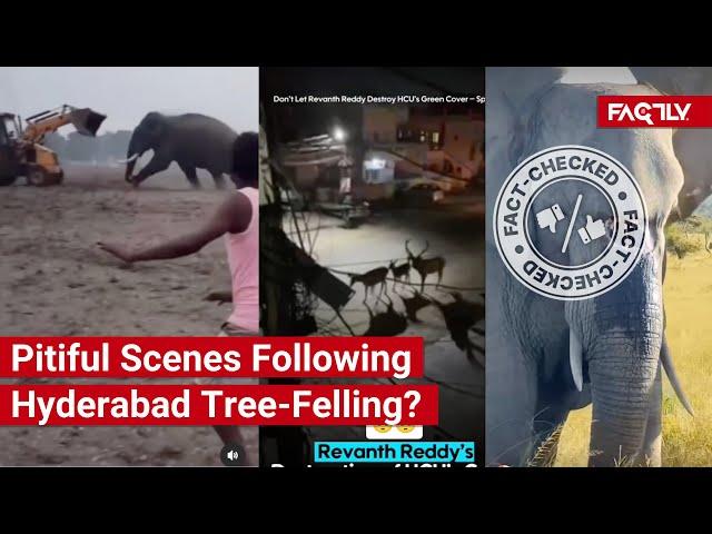FACT CHECK: Do Viral Videos Show Pitiful Scenes Following Destruction of Hyderabad Forest Land?