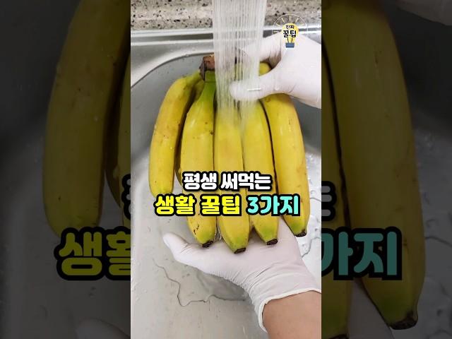 알면 평생 써먹는 생활꿀팁 3가지 #살림팁 #생활꿀팁 #꿀팁