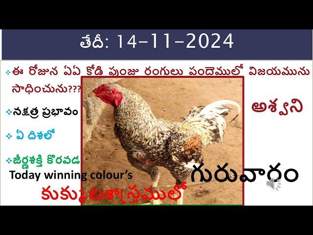 The Kukkuta Sastram Advantage/14 Nov 2024 Today winning colours/vision of kukkuta sastram