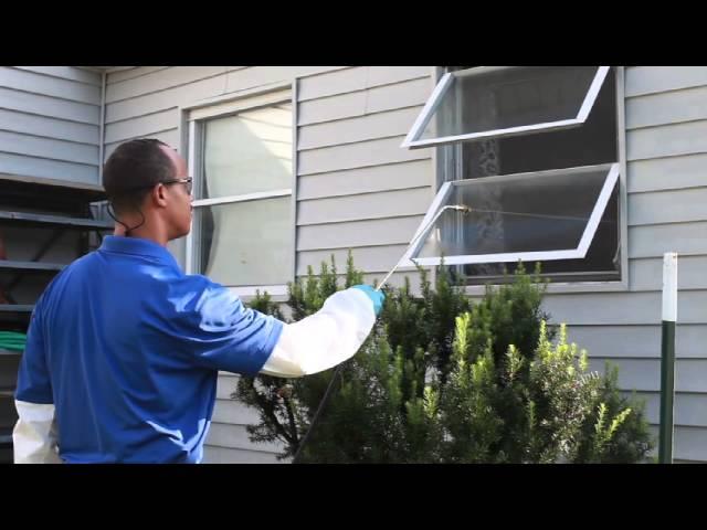 ROYAL PEST SOLUTIONS: RESIDENTIAL Pest and Insect Control