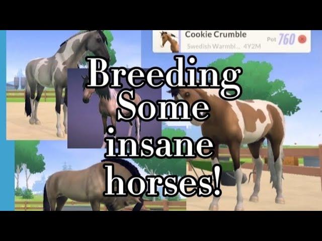 BREEDING SOME INSANE HORSES!!!! *equestrian the game*