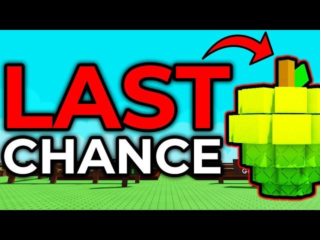 LAST CHANCE To Use OVERPOWERED SUGAR APPLE GLITCH! (Grow a Garden)