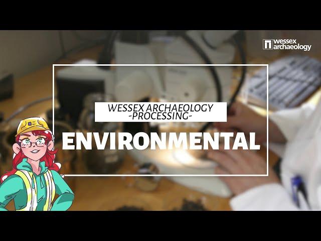 Behind the Scenes at Wessex Archaeology: The Environmental Labs