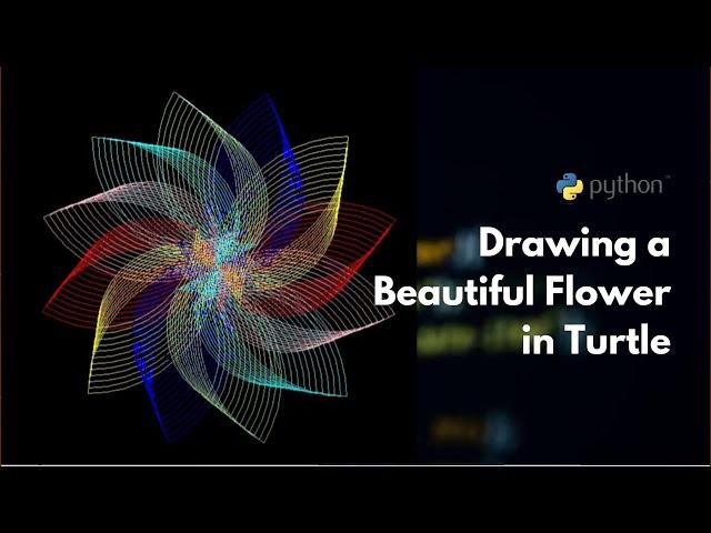 Drawing a beautiful flower with Python Turtle