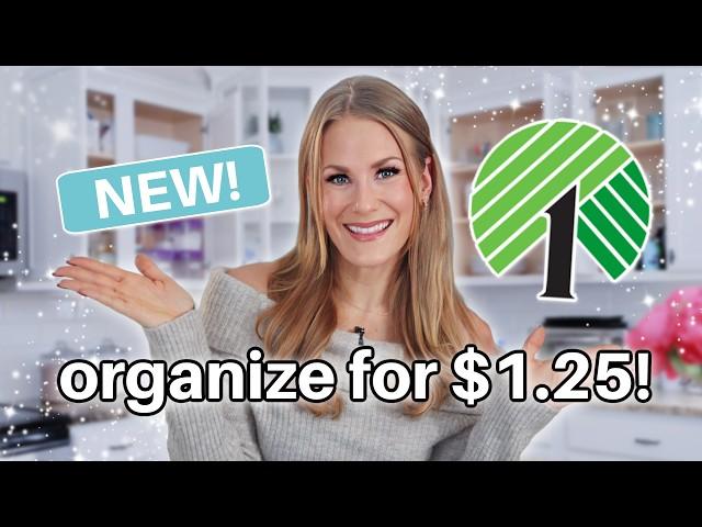 BEST Dollar Tree Organization for EVERY ROOM in 2025!  ALL my easiest viral secrets!