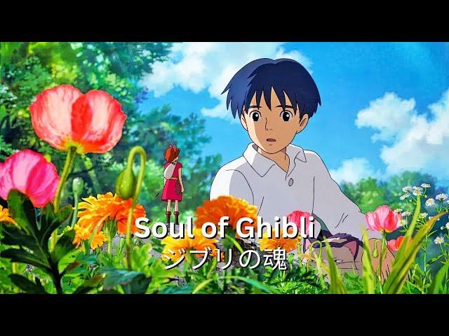 Back to Childhood Ghibli#studioghibli #ghiblimusic #soulofghibli #backtochildhood