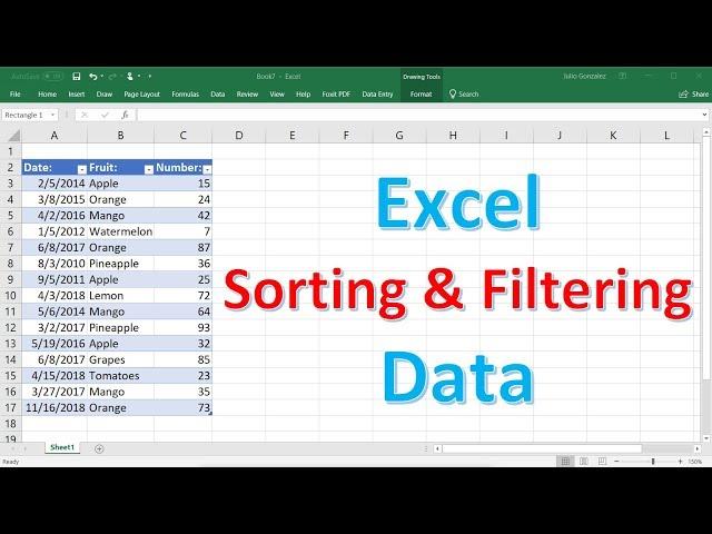 Excel Sorting and Filtering Data