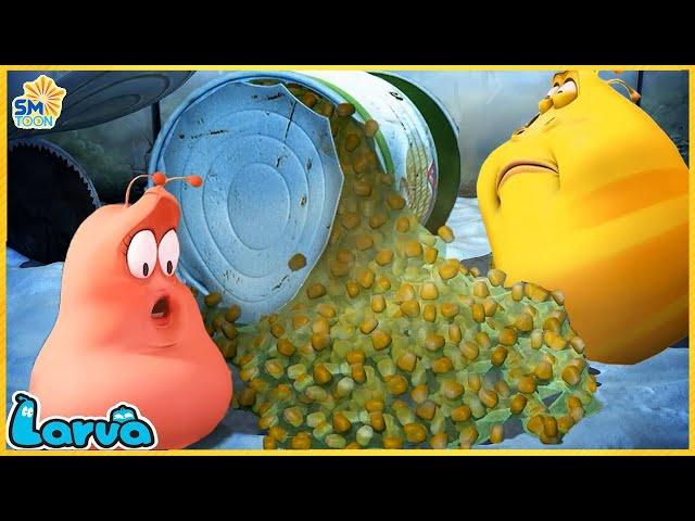 LARVA Season 3 Episode 50 ~ 100 -  New Cartoons 2024 - Hilarious Cartoon Compilation