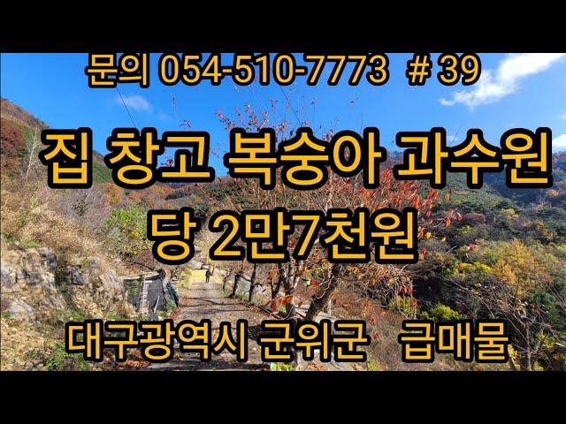 대구광역시 군위군 삼국유사면 집 창고 수확절정기 복숭아 과수원 당 27000원 급매물 경북땅 경북토지 경북땅매매 급매물 싼땅