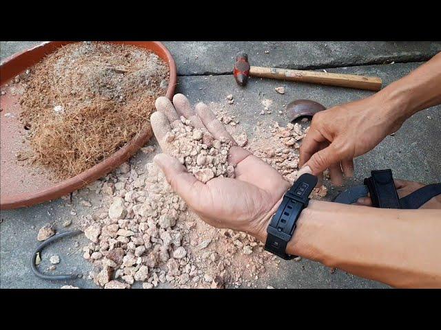 Đất trồng bonsai mini thần thánh là đây.