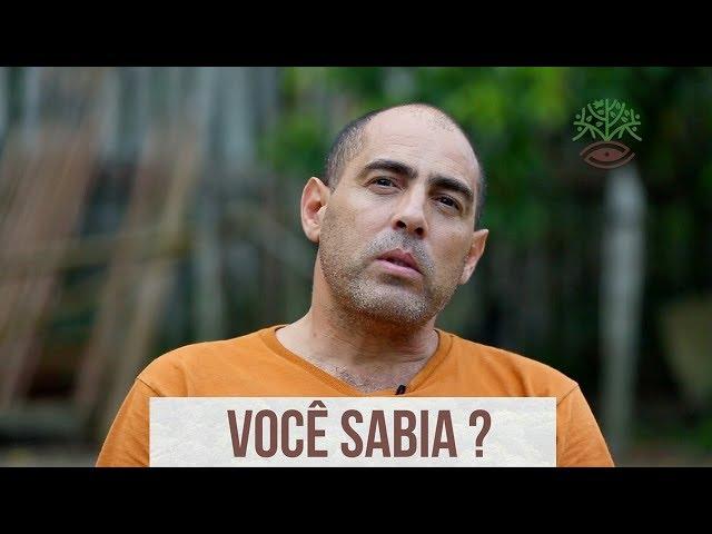 Você Sabia? Conservação das Florestas