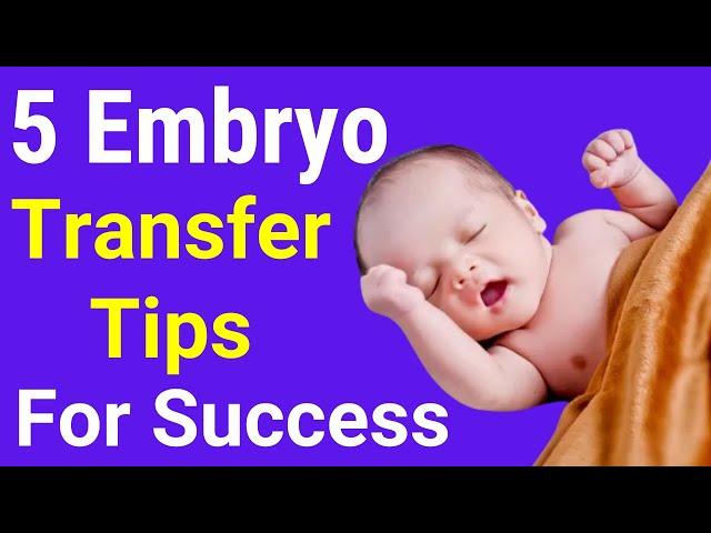  5 Embryo Transfer Tips For Success in Hindi -  Omya Fertility