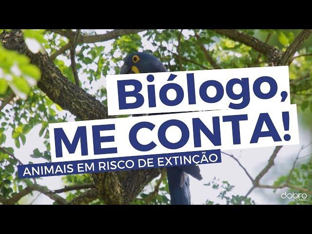 ANIMAIS EM RISCO DE EXTINÇÃO COM DIEGO SANCHES (FOTÓGRAFO VIAJANTE) - BIÓLOGO ME CONTA