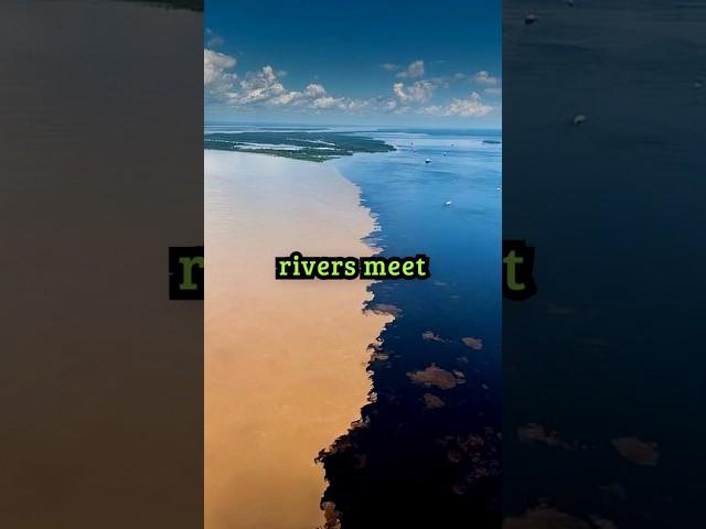 Two Rivers That Collide but Never Mix: Brazil's Stunning Natural Phenomenon! #mystery #facts