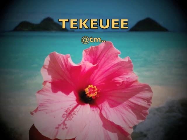 2017 TEKEUEE CoVeR by Sunofty aka Sunnity - Kiribati@tm..