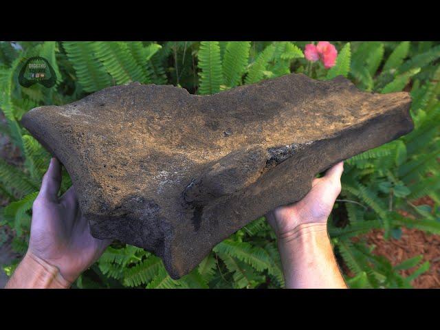 We Found Huge MAMMOTH Bones in a New Honey Hole