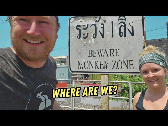 Getting LOST in Thailand Looking for Monkeys of Lopburi