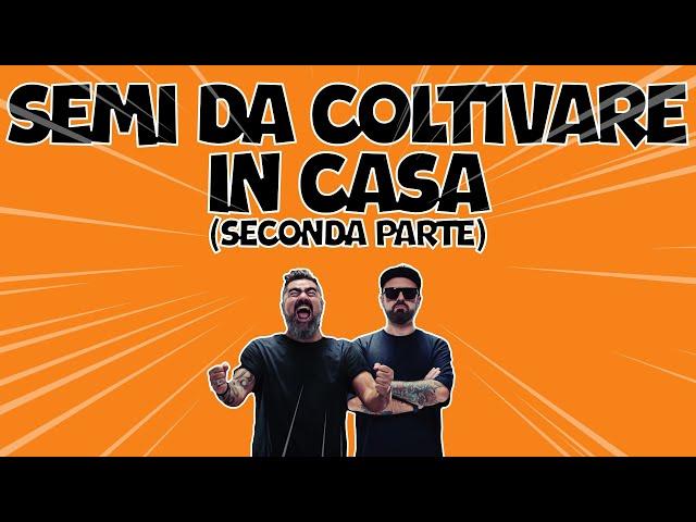 SEMI PER COLTIVARE IN CASA [SECONDA PARTE]