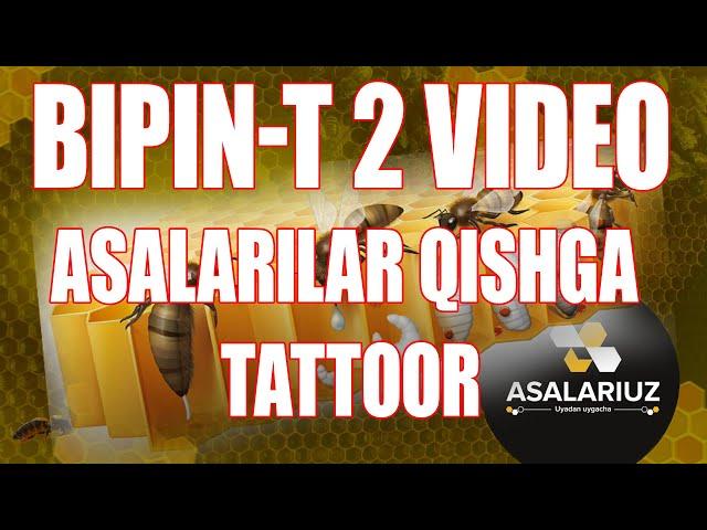 BIPIN-T Bilan asalarilarni davolaymiz