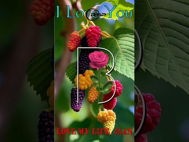 B..status  RSP EDITING ️#whatsapp #story #video #4k #2m #latterlife #shorts #couplestatus