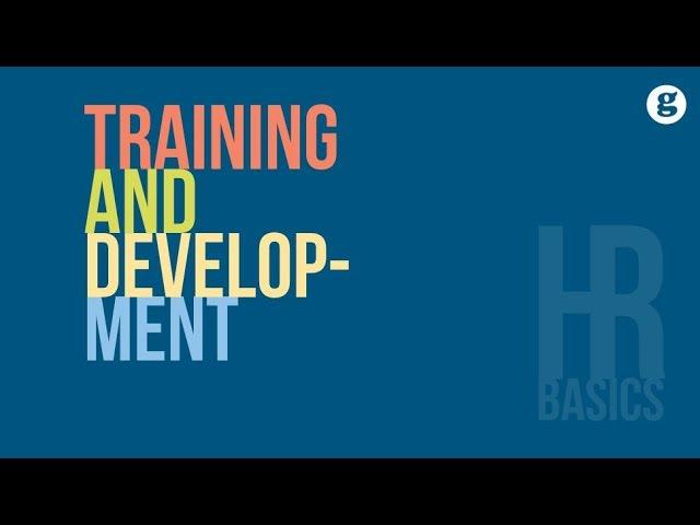 HR Basics: Training and Development