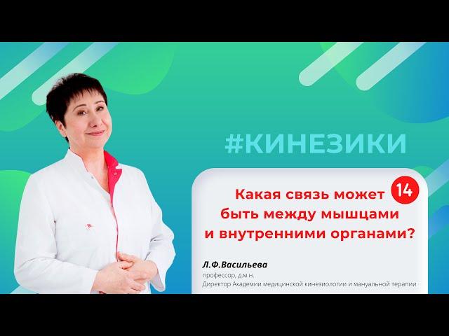  14 Какая функциональная связь может быть между мышцами и внутренними органами