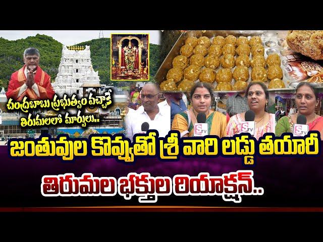 Tirumala Laddu | Srivari Devotees Reaction On Tirumala Laddu Controversy | Laddu Latest Updates