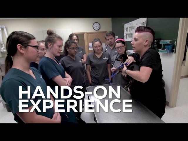 Broadview University - Vet Tech Program