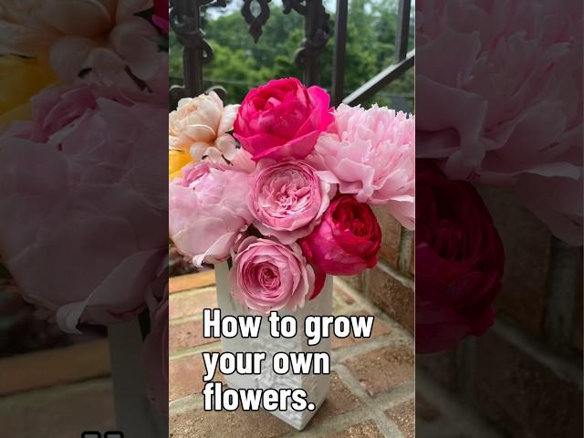 My easy tips to growing your own cut flower garden #growingflowers