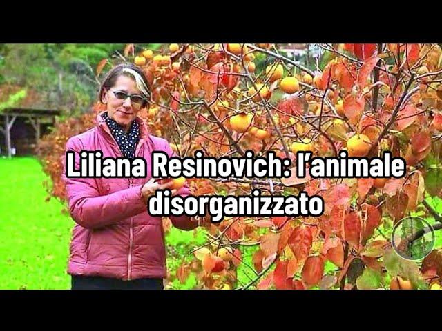 Liliana Resinovich: l’animale disorganizzato