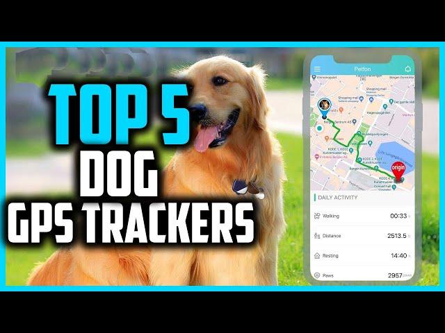 Best Dog GPS Trackers in 2024