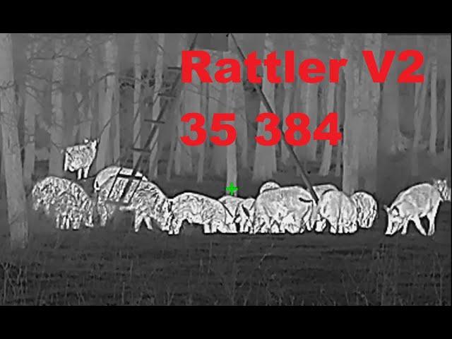 Rattler V2 35 384 Review