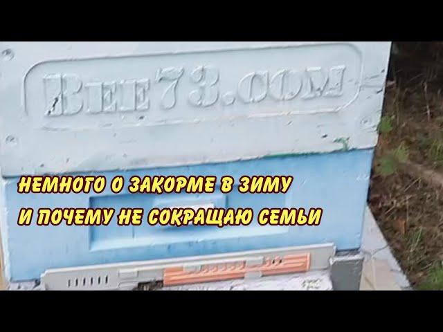 пчеловодство, немного о закорме в зиму и почему бессмысленно сокращать семьи имхо