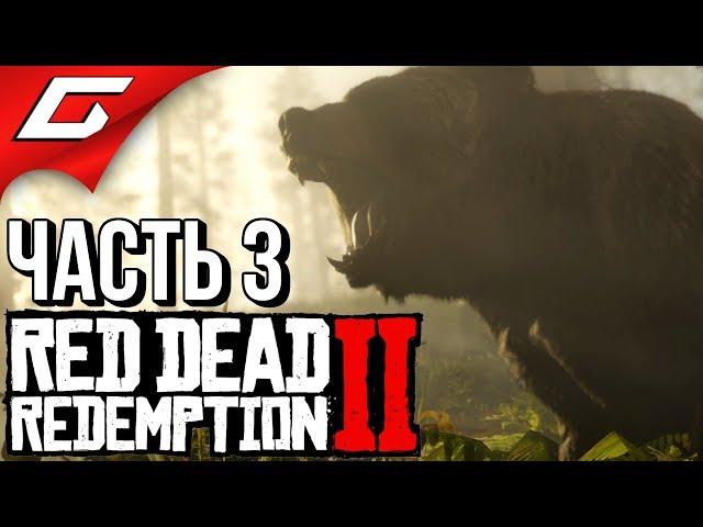 RED DEAD REDEMPTION 2  Прохождение #3  ОХОТА НА МЕДВЕДЯ