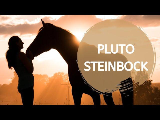 Pluto-Steinbock: Den Schatten des Kapitalismus beleuchten