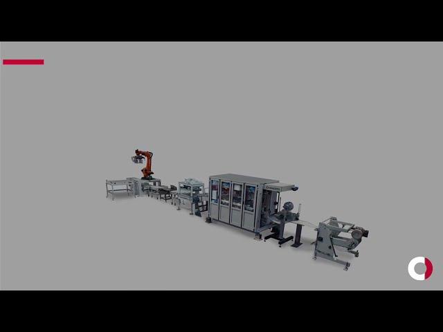 Bagging and Palletising Line for Fine Powders | Form, Fill, Seal Bagger FFS CONTINUA