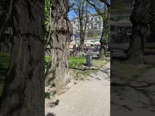 Łódź. Pasaż im. Artura Rubinsteina