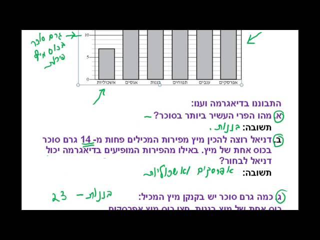 א08.0 - מיצ''ב תשס''ט - דיאגרמה