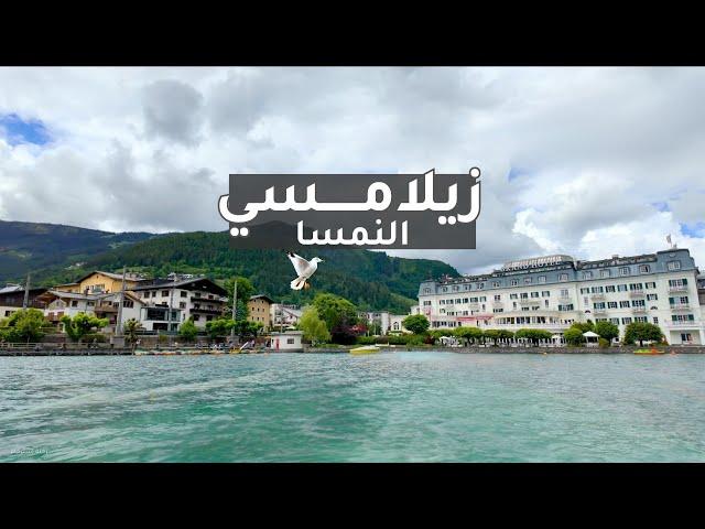 جولة هادئة في زيلامسي  جمال الطبيعة وسحر البحيرة النمساوية | Zell am See