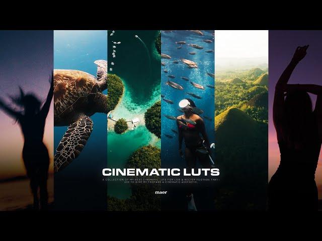 The Best Cinematic LUTs 2024