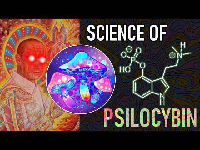 Psilocybin Synthesis in 4 Steps & How Magic Mushrooms Rewire Brain Networks (Psychedelic Science)