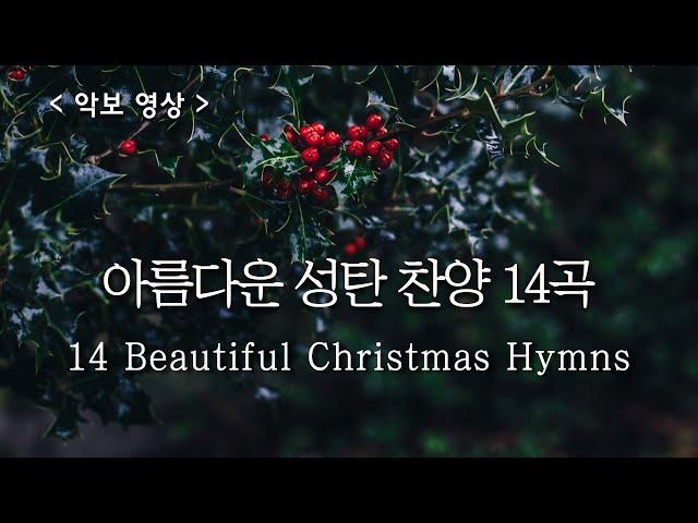 [ 예배 합창 모음 ] 아름다운 성탄절 찬양 ( Beautiful Christmas Hymns )  #carol #성탄찬양메들리 #성탄절특송 #성탄절합창