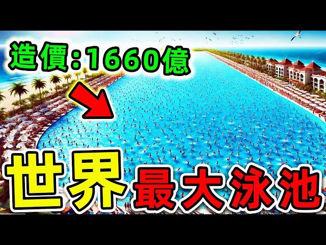 全世界最大的10個游泳池！第一名面積100萬平方，比白宫更大24倍，耗資1660億，竟建在非洲沙漠國家。|#世界之最top #世界之最 #出類拔萃 #腦洞大開 #top10 #最大游泳池